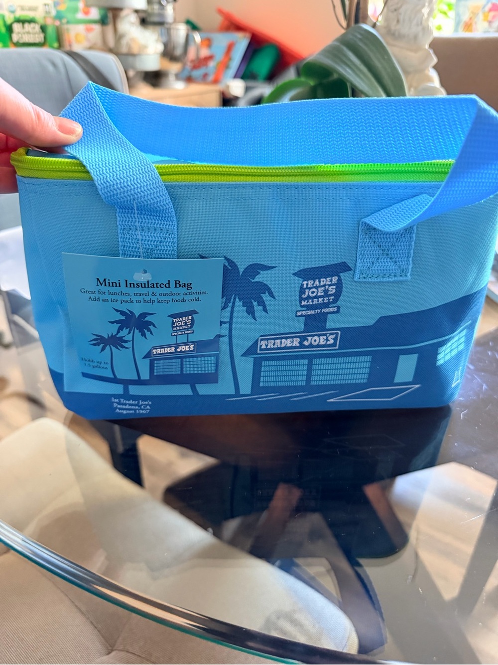Trader Joe's Blue Mini Insulated Lunch Bag
